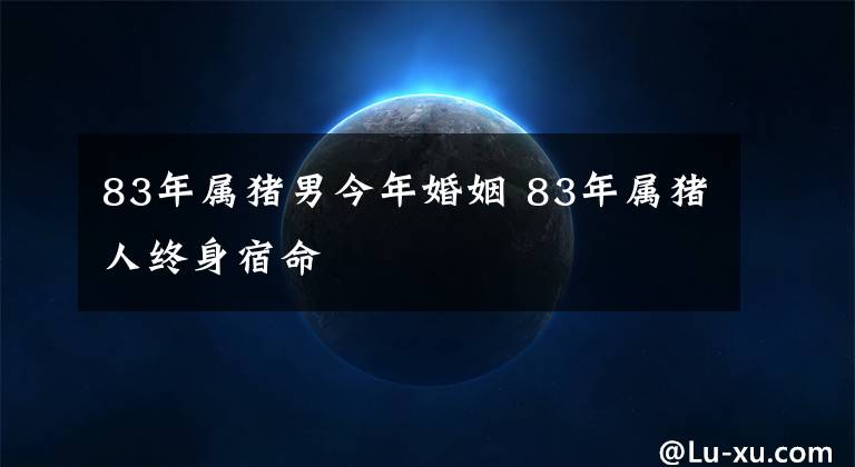83年属猪男今年婚姻 83年属猪人终身宿命