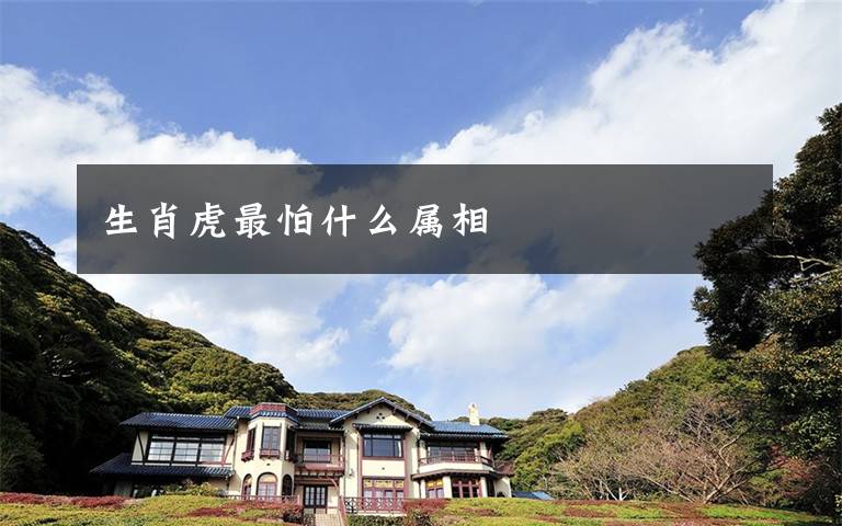 生肖虎最怕什么属相