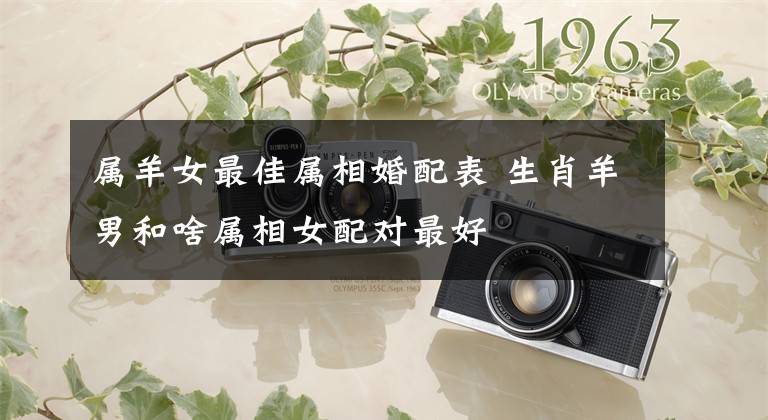 属羊女最佳属相婚配表 生肖羊男和啥属相女配对最好