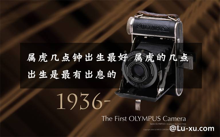 属虎几点钟出生最好 属虎的几点出生是最有出息的
