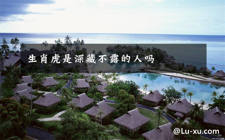 生肖虎是深藏不露的人吗