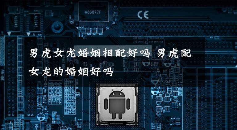 男虎女龙婚姻相配好吗 男虎配女龙的婚姻好吗