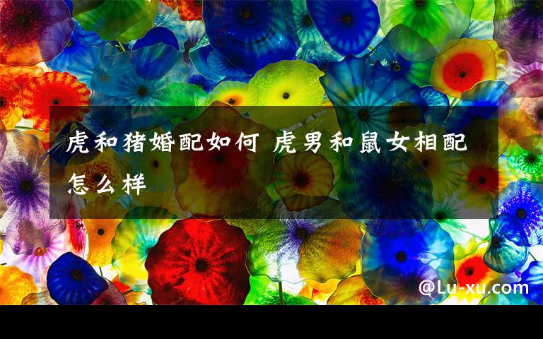 虎和猪婚配如何 虎男和鼠女相配怎么样