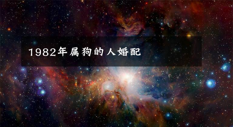 1982年属狗的人婚配