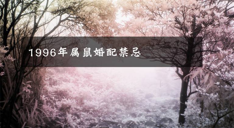1996年属鼠婚配禁忌
