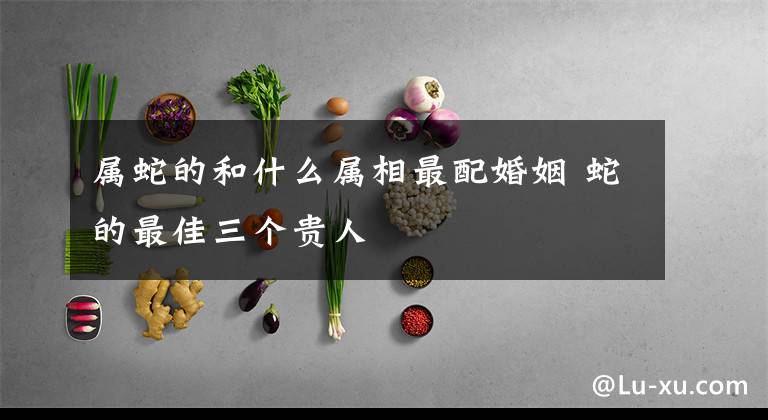 属蛇的和什么属相最配婚姻 蛇的最佳三个贵人