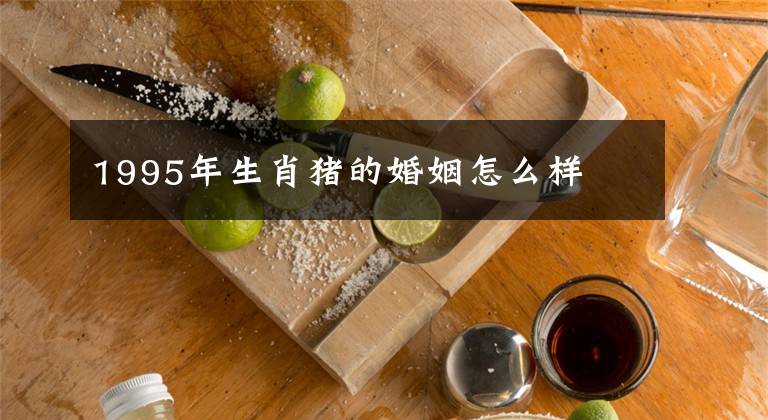 1995年生肖猪的婚姻怎么样