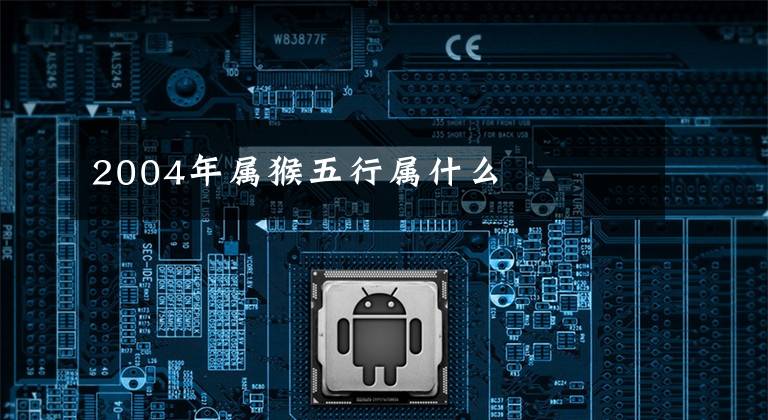 2004年属猴五行属什么