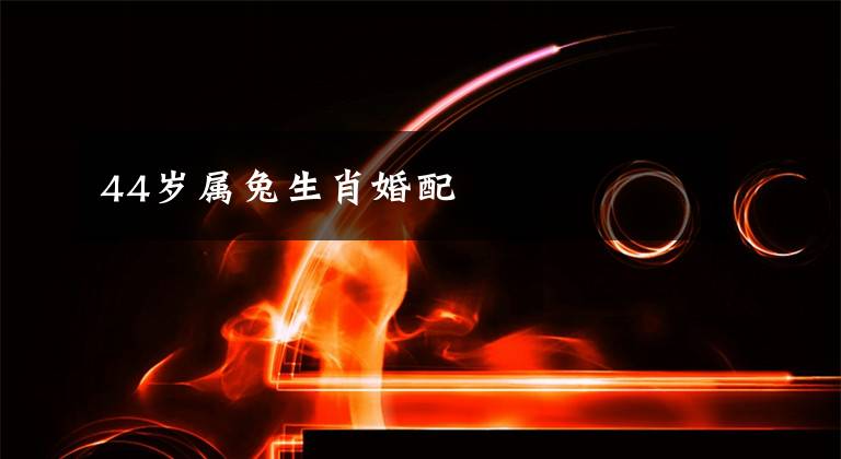 44岁属兔生肖婚配