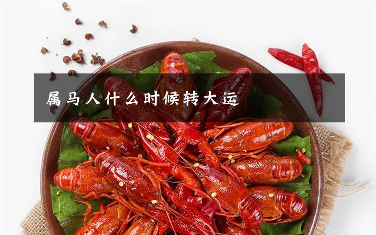 属马人什么时候转大运