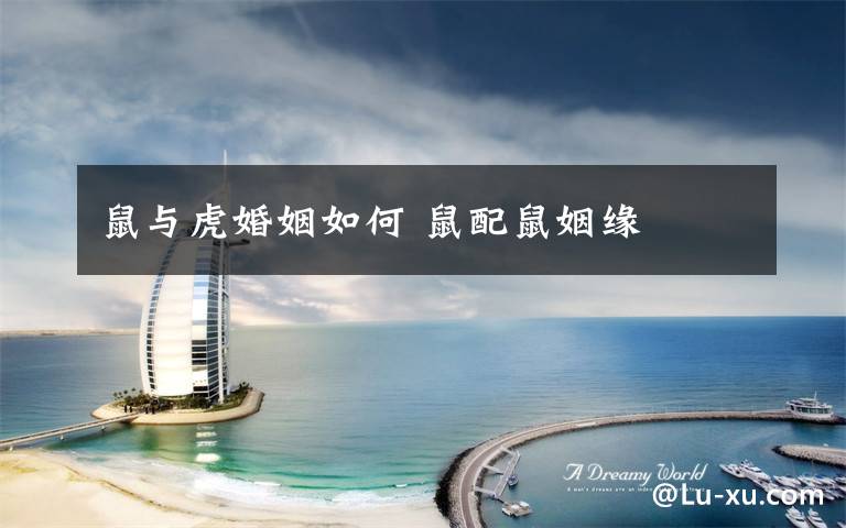 鼠与虎婚姻如何 鼠配鼠姻缘