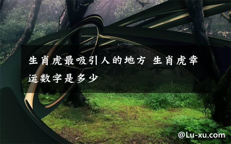 生肖虎最吸引人的地方 生肖虎幸运数字是多少