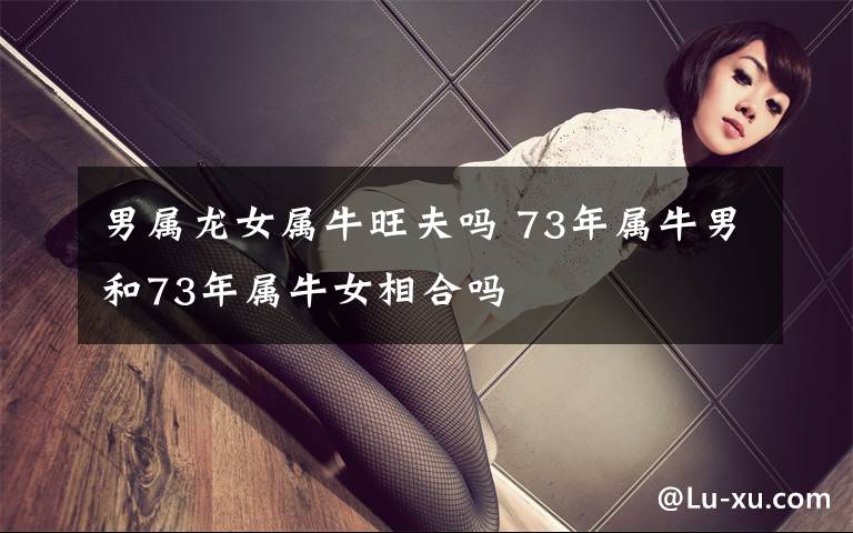 男属龙女属牛旺夫吗 73年属牛男和73年属牛女相合吗