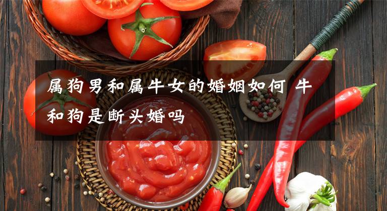 属狗男和属牛女的婚姻如何 牛和狗是断头婚吗