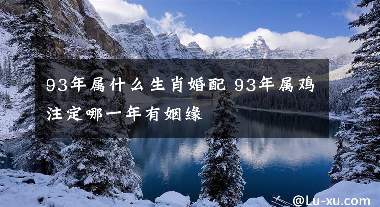 93年属什么生肖婚配 93年属鸡注定哪一年有姻缘