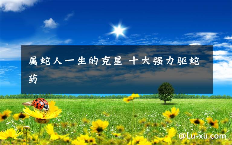 属蛇人一生的克星 十大强力驱蛇药