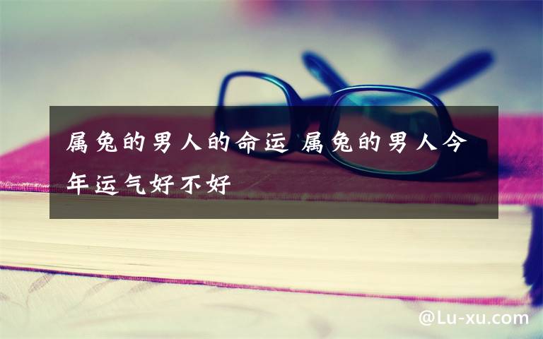 属兔的男人的命运 属兔的男人今年运气好不好