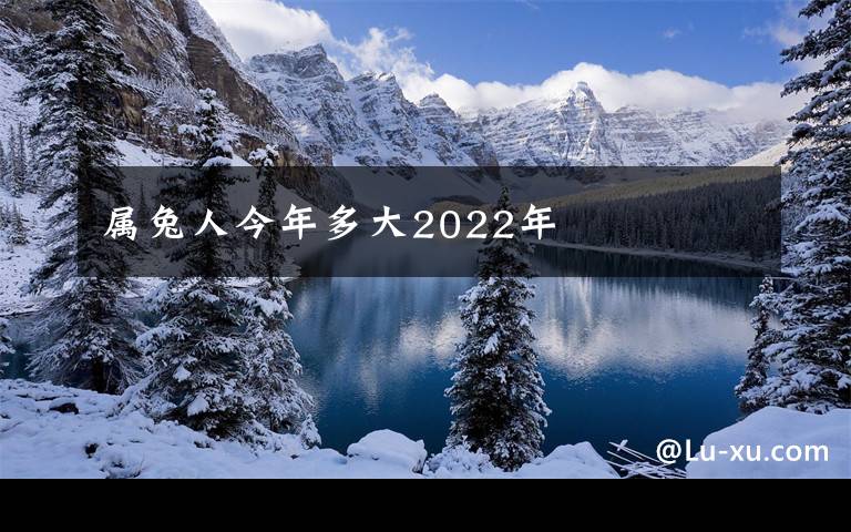 属兔人今年多大2022年