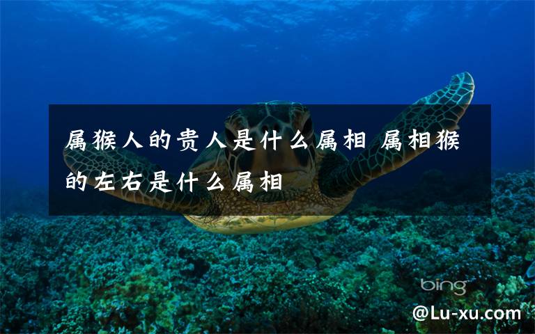 属猴人的贵人是什么属相 属相猴的左右是什么属相