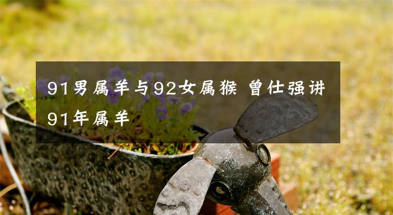 91男属羊与92女属猴 曾仕强讲91年属羊