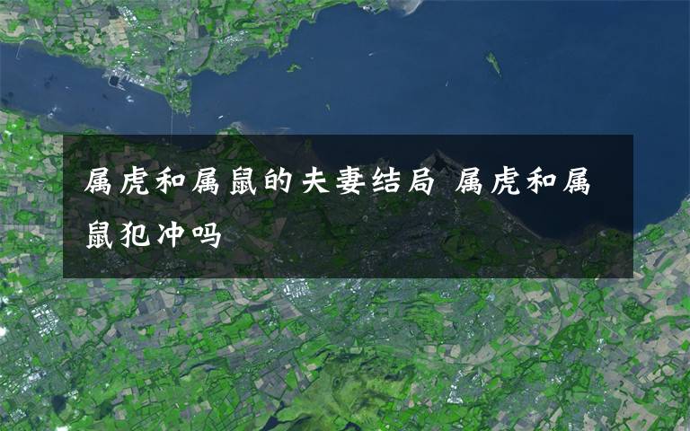 属虎和属鼠的夫妻结局 属虎和属鼠犯冲吗