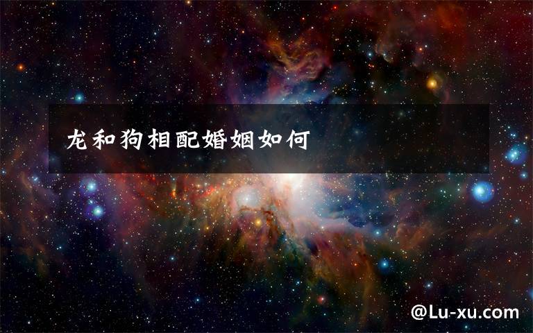 龙和狗相配婚姻如何