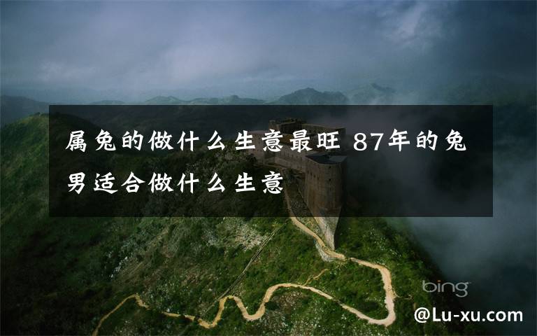 属兔的做什么生意最旺 87年的兔男适合做什么生意