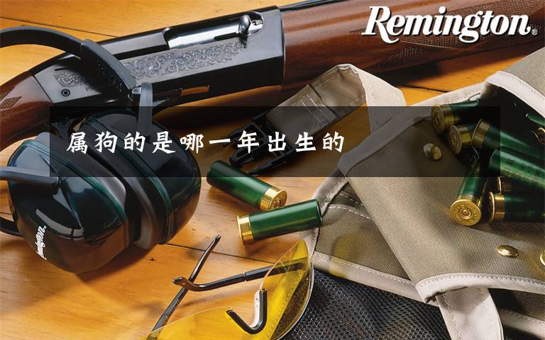 属狗的是哪一年出生的