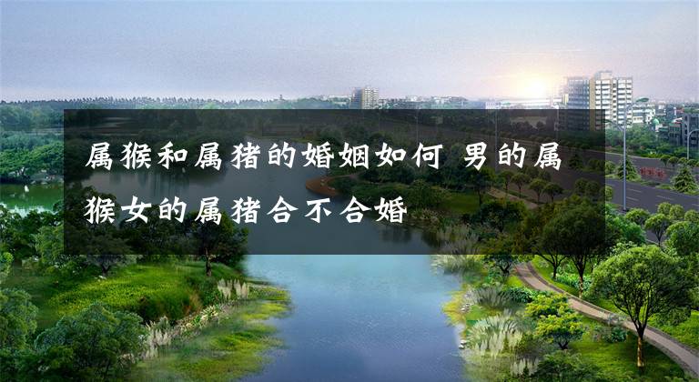 属猴和属猪的婚姻如何 男的属猴女的属猪合不合婚