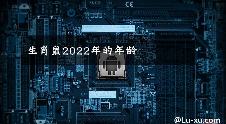生肖鼠2022年的年龄