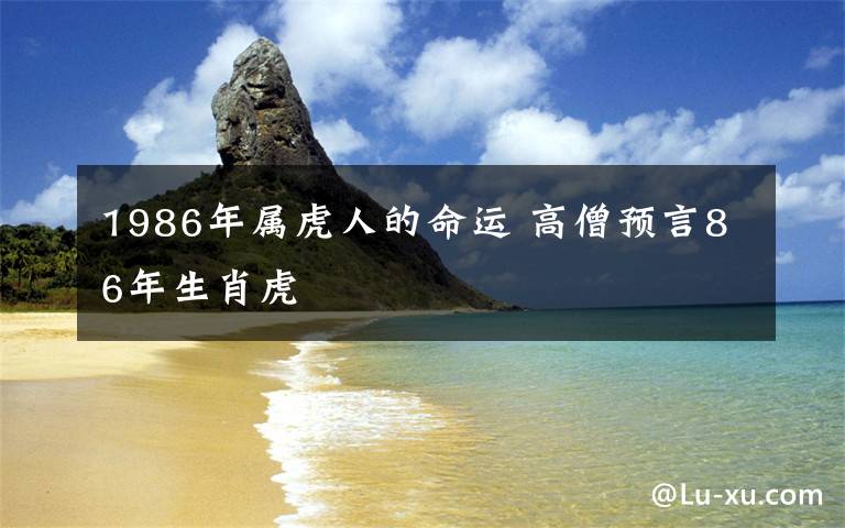 1986年属虎人的命运 高僧预言86年生肖虎