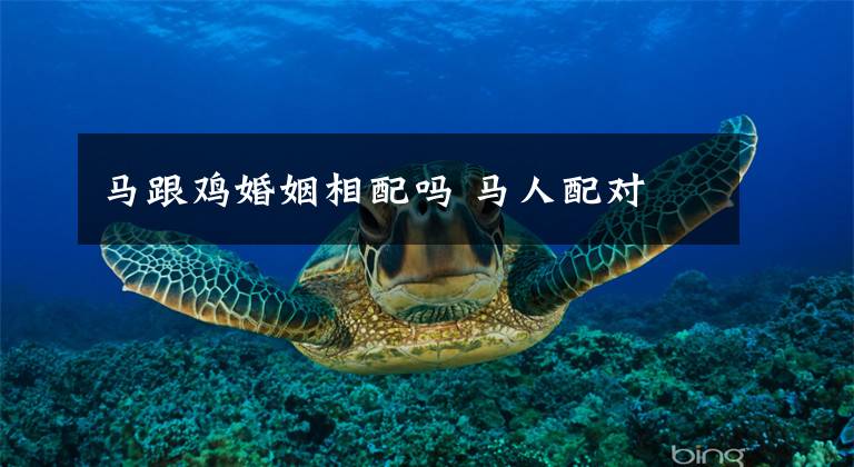马跟鸡婚姻相配吗 马人配对