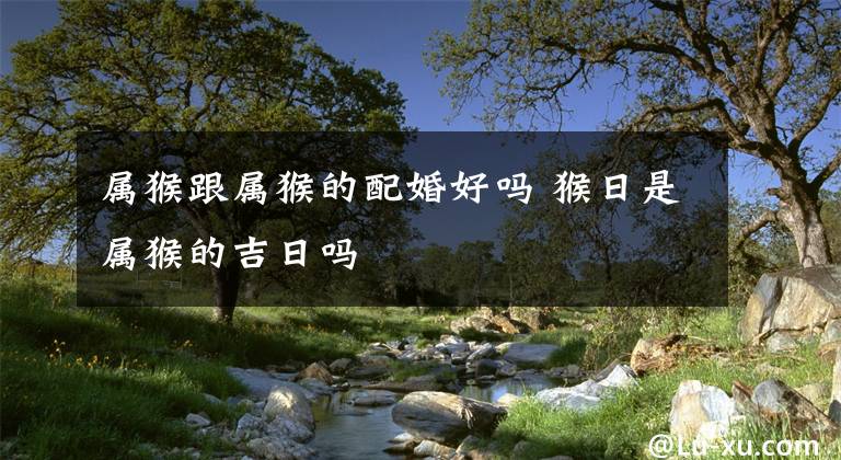 属猴跟属猴的配婚好吗 猴日是属猴的吉日吗