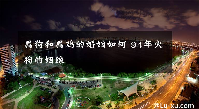 属狗和属鸡的婚姻如何 94年火狗的姻缘