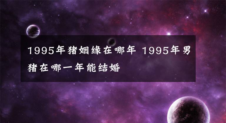 1995年猪姻缘在哪年 1995年男猪在哪一年能结婚