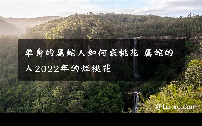 单身的属蛇人如何求桃花 属蛇的人2022年的烂桃花