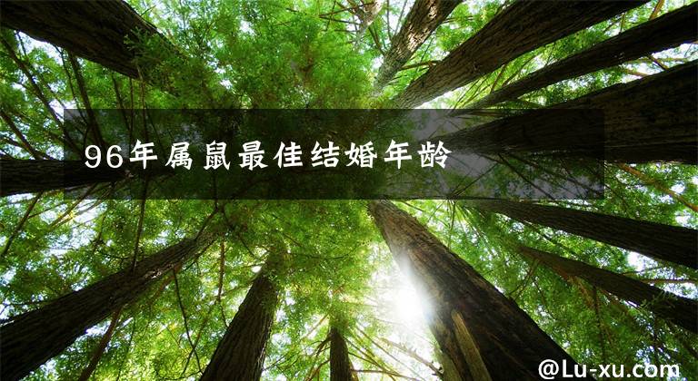 96年属鼠最佳结婚年龄