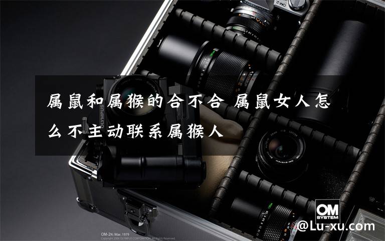 属鼠和属猴的合不合 属鼠女人怎么不主动联系属猴人