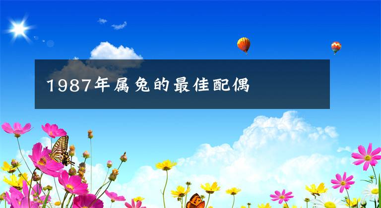 1987年属兔的最佳配偶