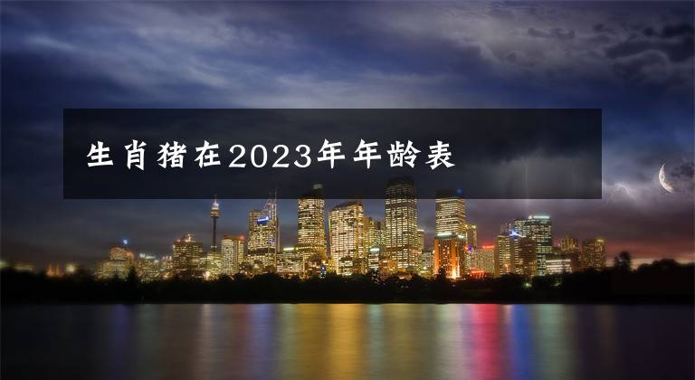 生肖猪在2023年年龄表