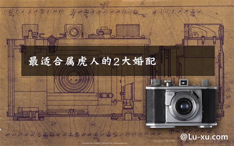 最适合属虎人的2大婚配