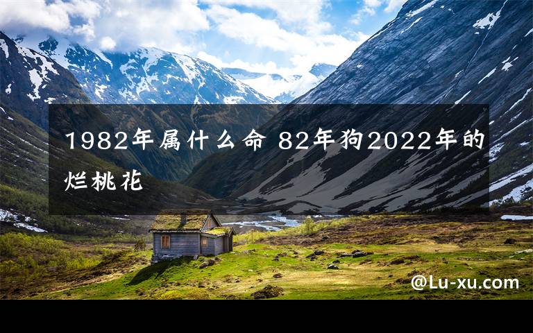 1982年属什么命 82年狗2022年的烂桃花