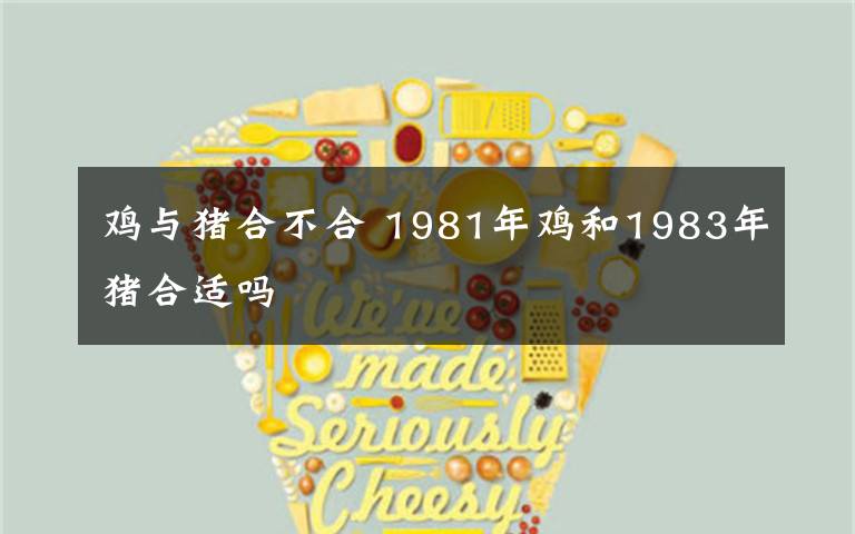 鸡与猪合不合 1981年鸡和1983年猪合适吗