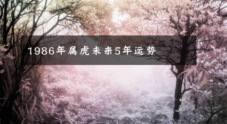 1986年属虎未来5年运势