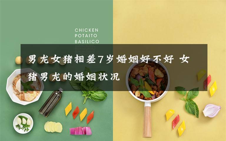 男龙女猪相差7岁婚姻好不好 女猪男龙的婚姻状况
