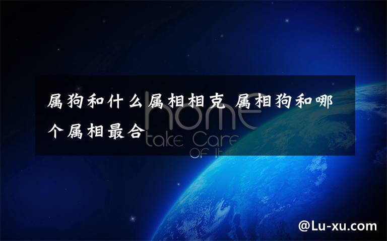 属狗和什么属相相克 属相狗和哪个属相最合