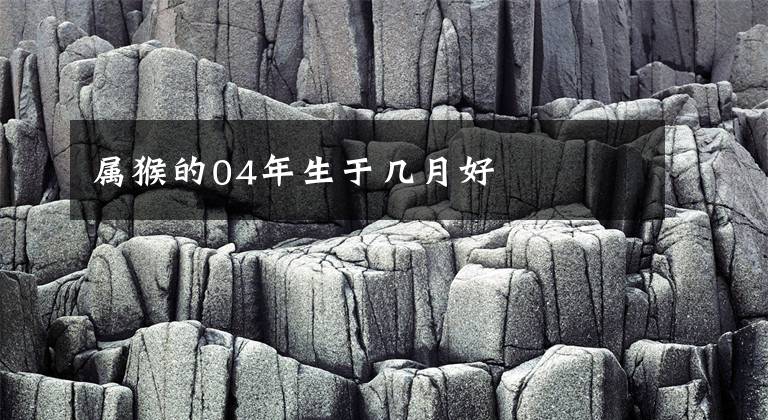 属猴的04年生于几月好