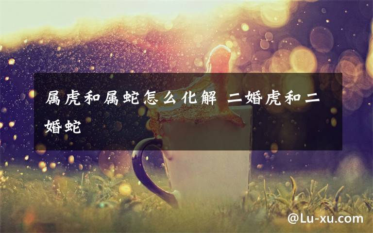 属虎和属蛇怎么化解 二婚虎和二婚蛇