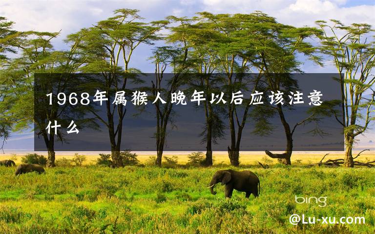 1968年属猴人晚年以后应该注意什么