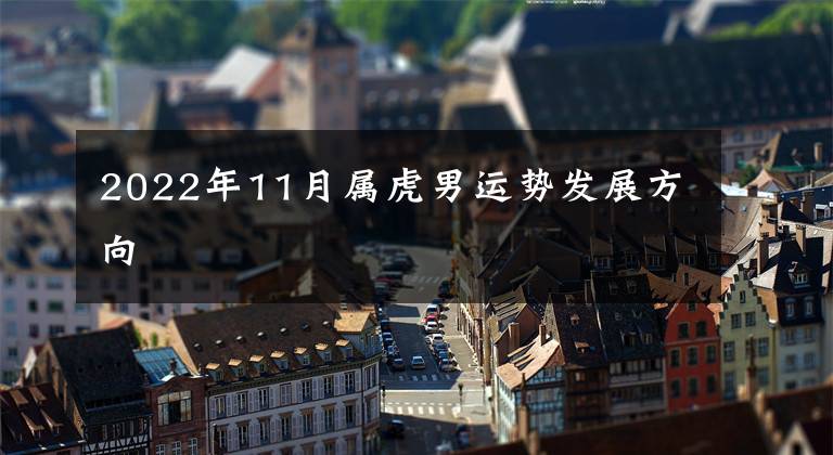 2022年11月属虎男运势发展方向